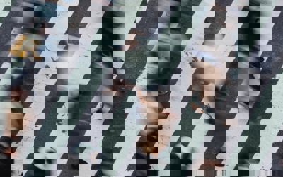 Photo 1582879154558 197Ea4b24417