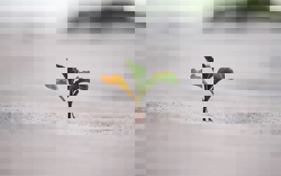 Jeremy Bishop Vgjgvtsfys4 Unsplash