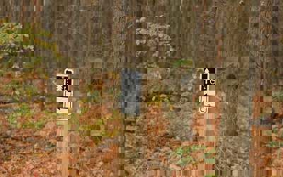 Richard Burlton Ibzxobwh5vk Unsplash