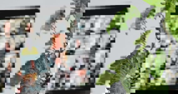 An exclusive masterclass for Unilever learning partners hosted by The Gap Partnership and Debate Mate (2pm London time)