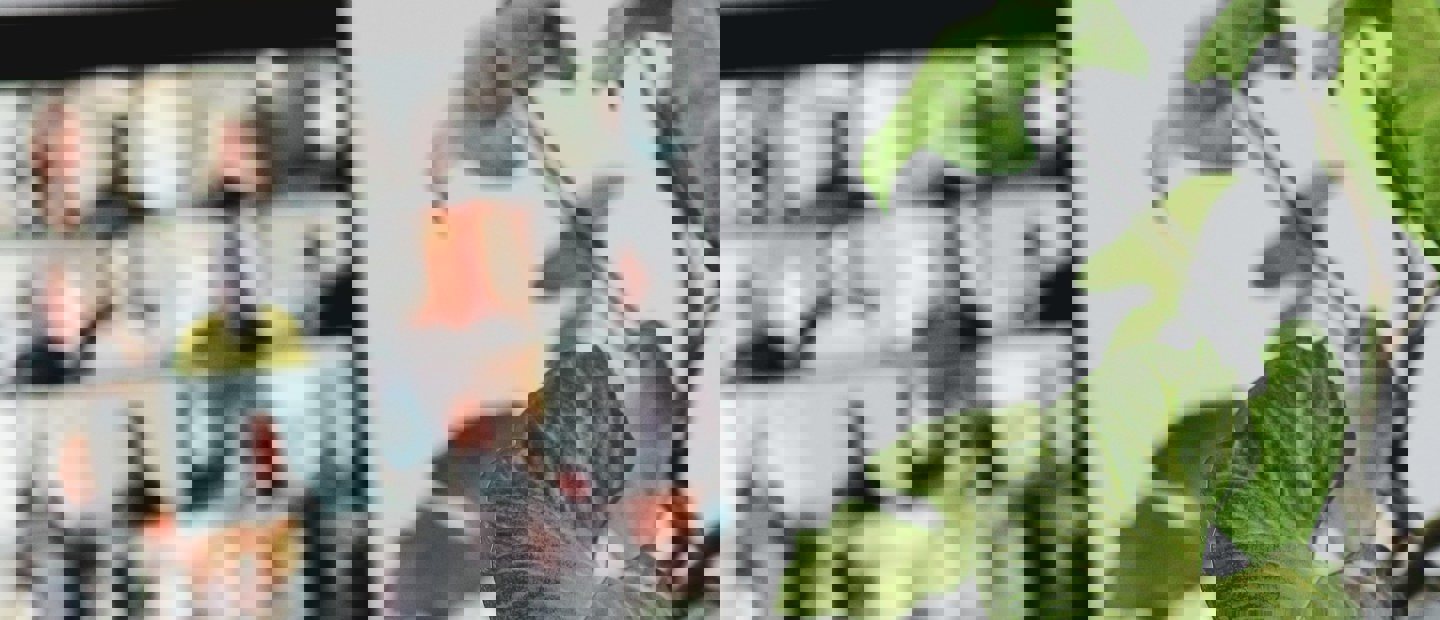 Hero Image
