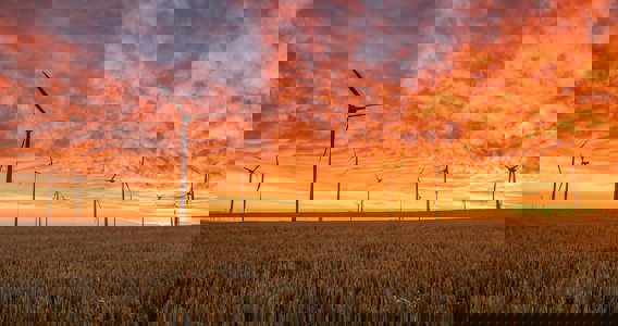 Procurement and sustainability: Accelerating progress by optimizing negotiation capability