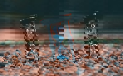 Aron Visuals Bxoxnq26b7o Unsplash