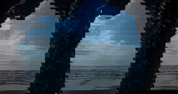 A journey inside the mind of the buyer