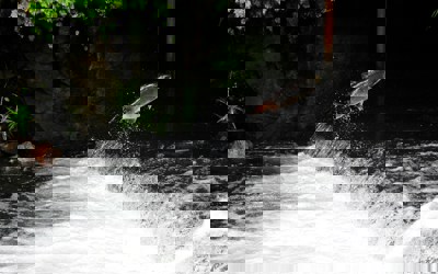 Drew Farwell 9Vkjpfh9anw Unsplash 2