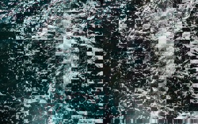 Ion Fet W10nsl5kvsu Unsplash