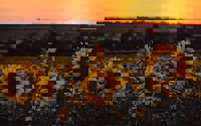 Rhys Kentish B6pk1dugr7a Unsplash